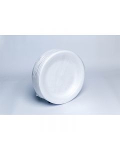 Foam Plate  10'